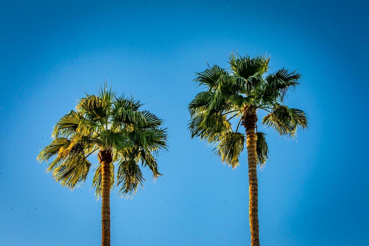 Hotel California Palm Springs Dış mekan fotoğraf